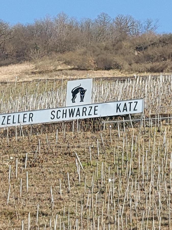 Fewo Siemens Mosel Zell an der Mosel Bagian luar foto